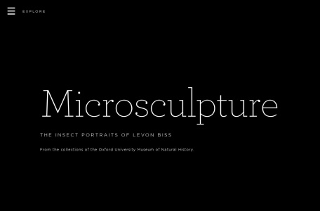 Microsculpture