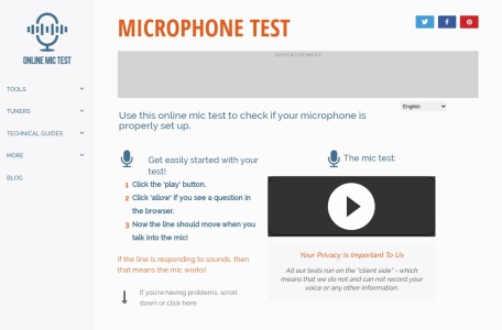 Online Mic Test