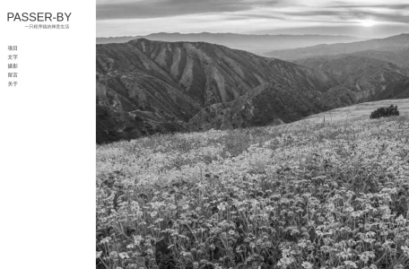 五子棋人机对战