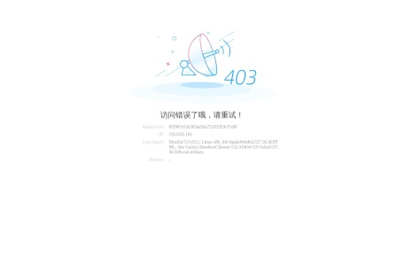 403错误