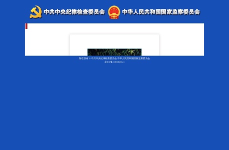 中央纪委国家监委举报网站